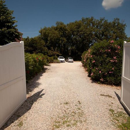 Chambres D'Hotes Le Mas Du Bijou Bleu Puget-sur Argens Zewnętrze zdjęcie