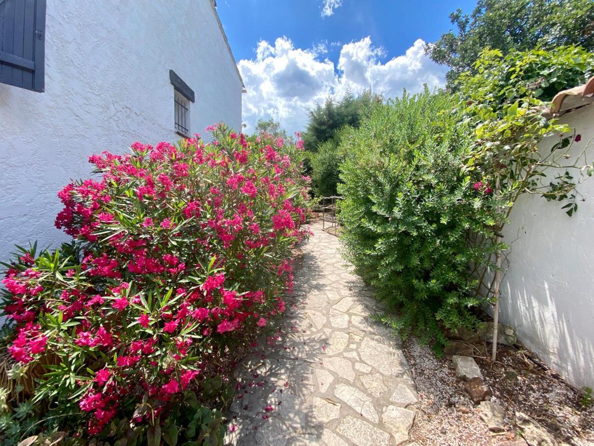 Chambres D'Hotes Le Mas Du Bijou Bleu Puget-sur Argens Zewnętrze zdjęcie
