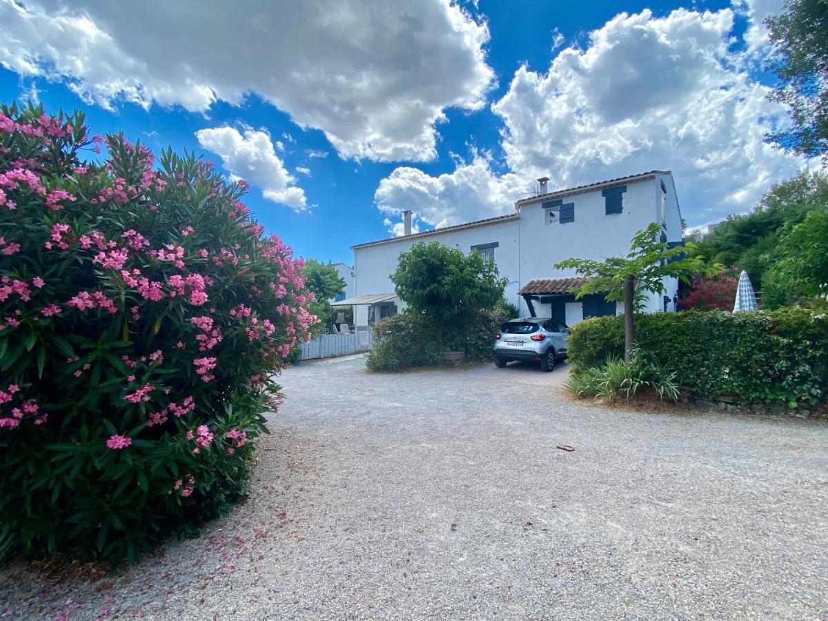 Chambres D'Hotes Le Mas Du Bijou Bleu Puget-sur Argens Zewnętrze zdjęcie