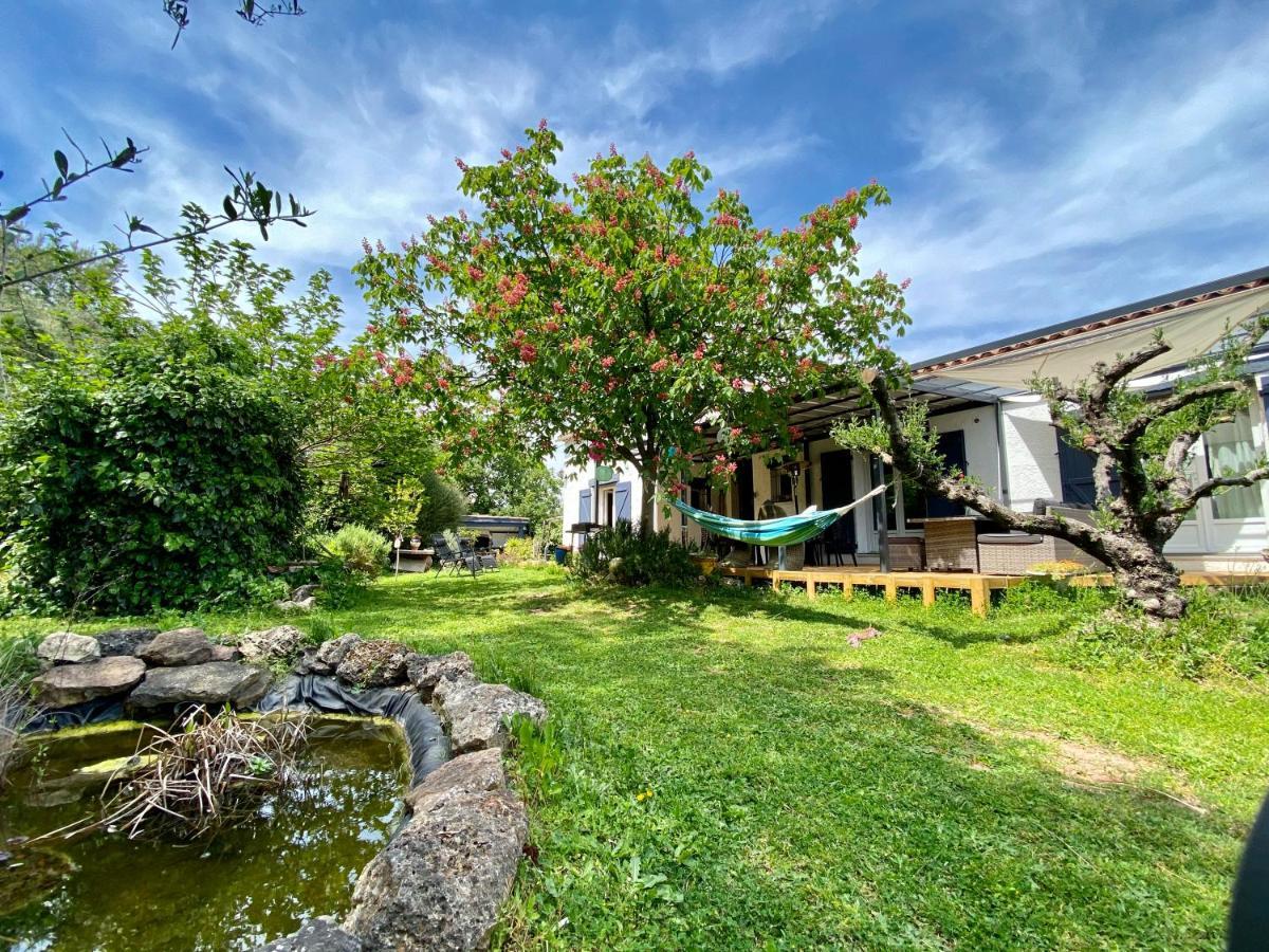 Chambres D'Hotes Le Mas Du Bijou Bleu Puget-sur Argens Zewnętrze zdjęcie