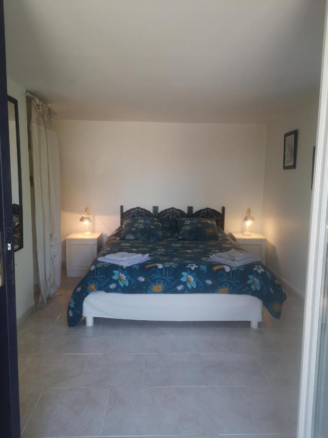 Chambres D'Hotes Le Mas Du Bijou Bleu Puget-sur Argens Zewnętrze zdjęcie