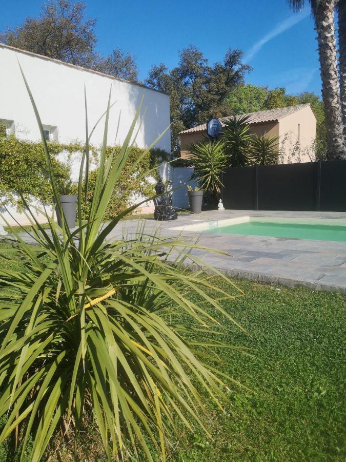 Chambres D'Hotes Le Mas Du Bijou Bleu Puget-sur Argens Zewnętrze zdjęcie