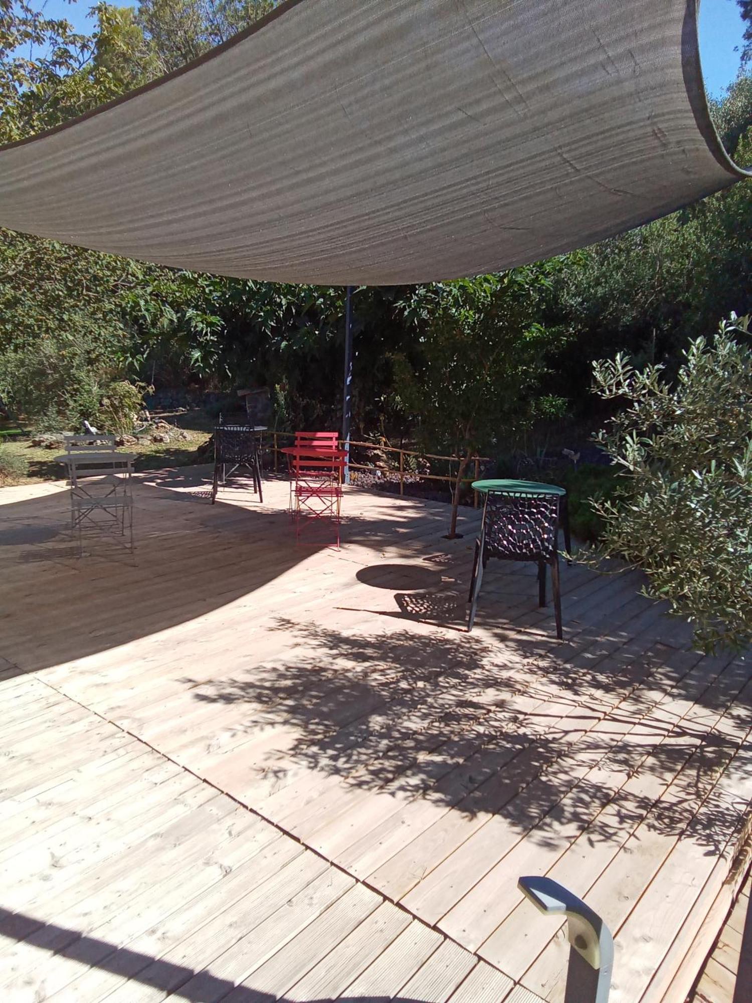 Chambres D'Hotes Le Mas Du Bijou Bleu Puget-sur Argens Zewnętrze zdjęcie