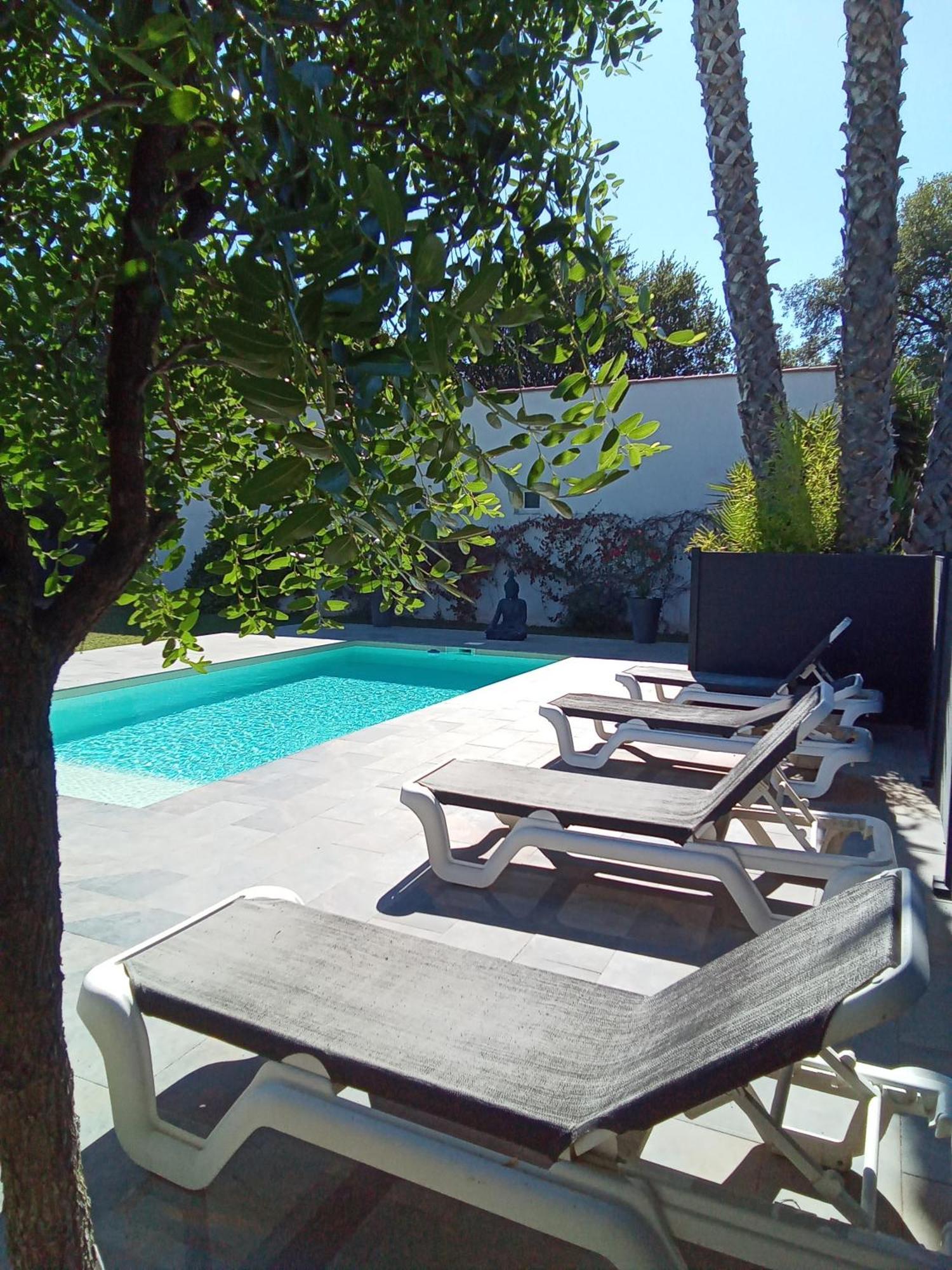 Chambres D'Hotes Le Mas Du Bijou Bleu Puget-sur Argens Zewnętrze zdjęcie